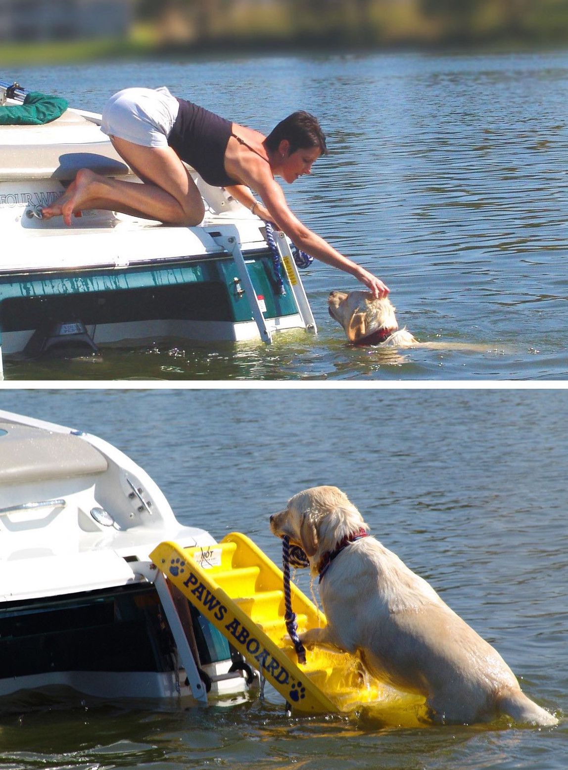 Paws Aboard | Boating Accessories | Snag-A-Slip