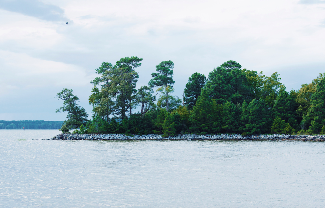Photo by Anthony Chiado on Unsplash | Oyster Season | Snag-A-Slip