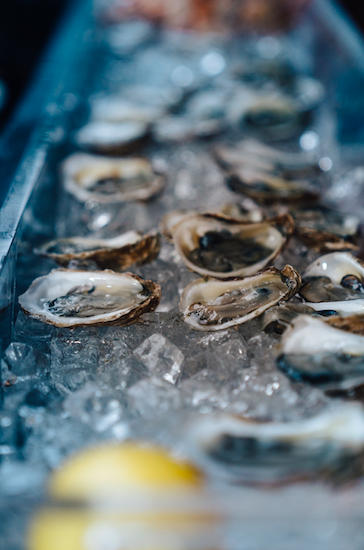 Photo by Matthew LeJune on Unsplash | Oyster Season | Snag-A-Slip