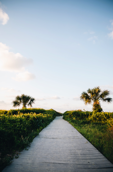 Photo by Mitchell Hartley on Unsplash | Day Trip | Snag-A-Slip